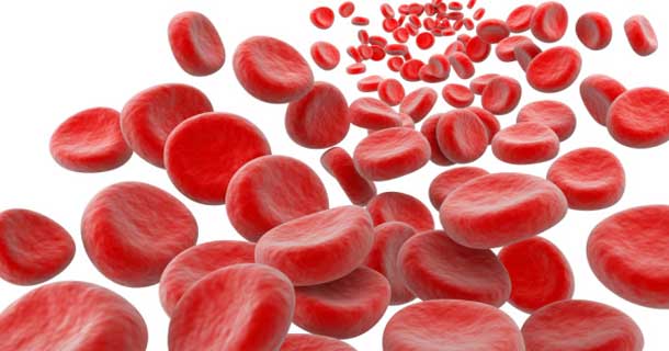 hemoglobin u urinu i krvi